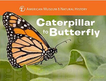 Caterpillar to Butterfly (American Museum of Natural History) - Melissa Stewart [KSIĄŻKA]