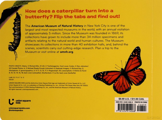 Caterpillar to Butterfly (American Museum of Natural History) - Melissa Stewart [KSIĄŻKA]