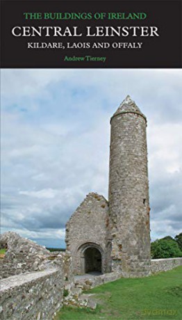 Central Leinster: Kildare, Laois and Offaly (Pevsner Architectural Guides: Buildings of Ireland) - Andrew Tierney [KSIĄŻKA]