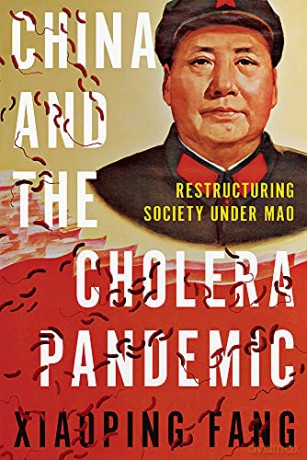 China and the Cholera Pandemic: Restructuring Society under Mao - Xiaoping Fang [KSIĄŻKA]