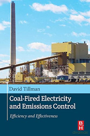 Coal-Fired Electricity and Emissions Control: Efficiency and Effectiveness - David A. Tillman [KSIĄŻKA]