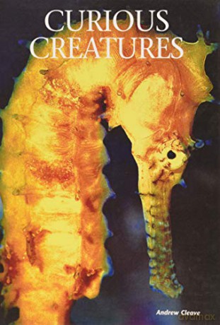 Curious Creatures (Creatures of the Ocean) - Andrew Cleave [KSIĄŻKA]