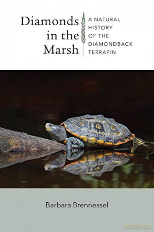 Diamonds in the Marsh - A Natural History of the Diamondback Terrapin - Bob Prescott [KSIĄŻKA]