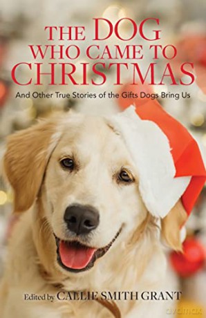 Dog Who Came to Christmas: And Other True Stories of the Gifts Dogs Bring Us - Grant [KSIĄŻKA]