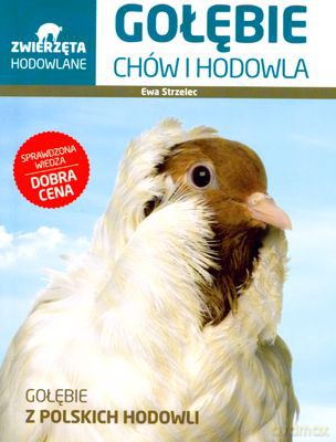 Gołębie Chów I Hodowla Zwierzęta Hodowlane - Ewa Strzelec [KSIĄŻKA]