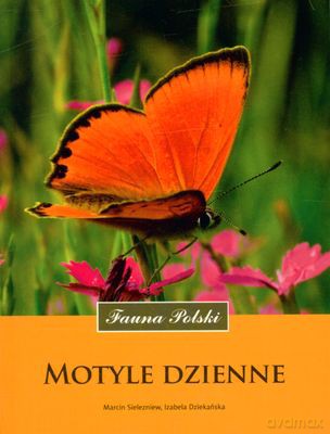 Motyle Dzienne Fauna Polski - Marcin Sielezniew, Izabela Dziekańska [KSIĄŻKA]
