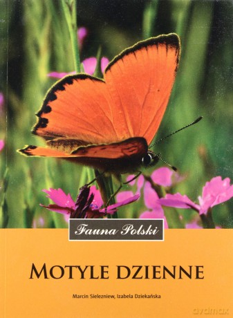 Motyle Dzienne Fauna Polski - Marcin Sielezniew, Izabela Dziekańska [KSIĄŻKA]