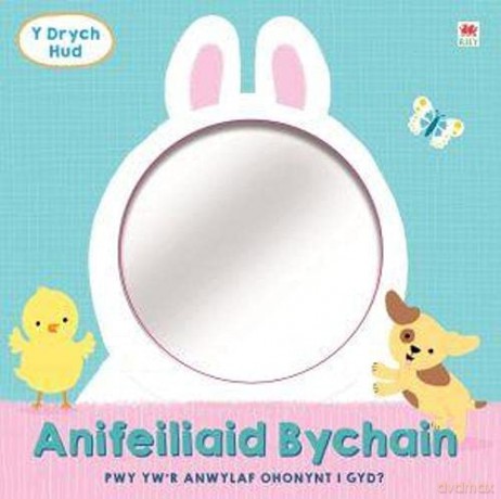 Drych Hud: Anifeiliaid Bychain, Y - Campbell Books [KSIĄŻKA]