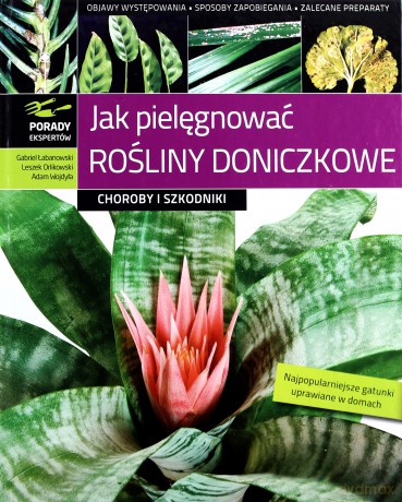 Jak Pielęgnować Rośliny Doniczkowe Choroby I Szkodniki (twarda) - Gabriel Łubanowski, Leszek Orlikowski, Adam Wojdyła [KSIĄŻKA]