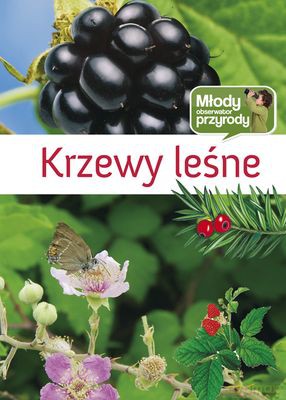Krzewy Leśne Młody Obserwator Przyrpdy (twarda) [KSIĄŻKA]