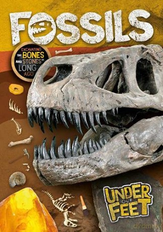 Fossils (Under Our Feet) - Holmes [KSIĄŻKA]