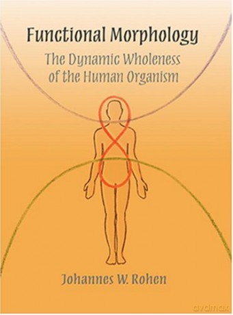 Functional Morphology: The Dynamic Wholeness of the Human Organism - Johannes W. Rohen [KSIĄŻKA]