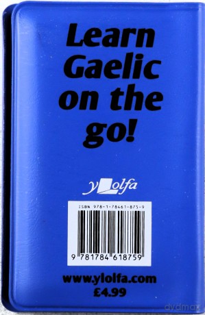 Gaelic in Your Pocket: Gaelic Language Basics and Words: 3 - Y Lolfa [KSIĄŻKA]