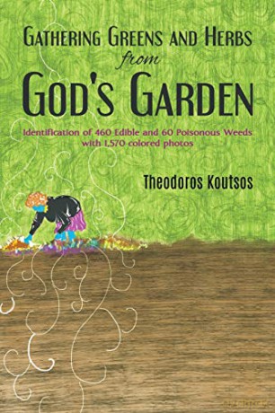 Gathering Greens and Herbs from God's Garden: Identification of 460 Edible and 60 Poisonous Weeds with 1,570 colored photos - Theodoros Koutsos [KSIĄŻKA]