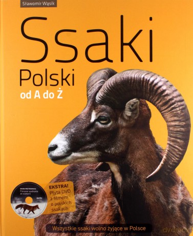 Ssaki Polski Od A Do Ż (twarda) - Sławomir Wąsik [KSIĄŻKA]