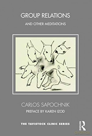 Group Relations and Other Meditations: Psychoanalytic Explorations on the Uncertainties of Experiential Learning (Tavistock Clinic Series) - Carlos Sapochnik [KSIĄŻKA]
