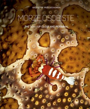 Morze Osobiste Wer.Pol/Ang (twarda) - Krzysztof Przeciechowski [KSIĄŻKA]