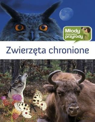 Zwierzęta Chronione Młody Obserwator Przyrody (twarda) [KSIĄŻKA]
