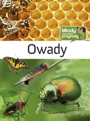 Owady Młody Obserwator Przyrody (twarda) [KSIĄŻKA]