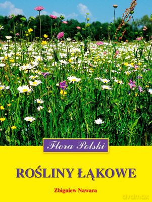 Rośliny Łąkowe - Zbigniew Nawara [KSIĄŻKA]