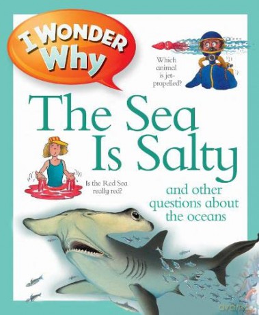 I Wonder Why the Sea is Salty (I Wonder Why, 1) - Anita Ganeri [KSIĄŻKA]