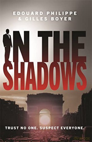 In The Shadows: The year's most explosive thriller - Gilles Boyer [KSIĄŻKA]