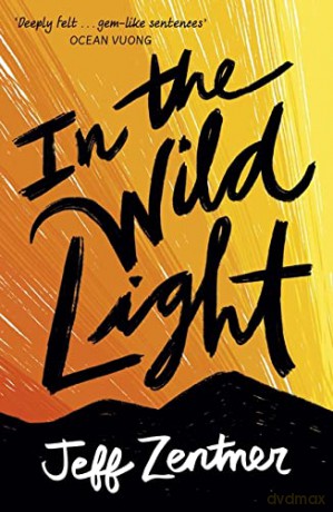 In the Wild Light - Jeff Zentner [KSIĄŻKA]