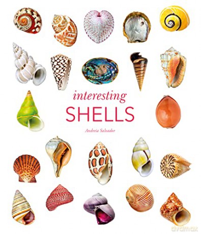 Interesting Shells - Andreia Salvador [KSIĄŻKA]