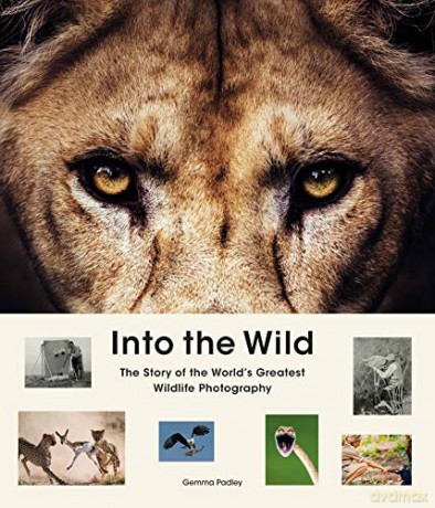 Into the Wild: The Story of the World's Greatest Wildlife Photography - Gemma Padley [KSIĄŻKA]