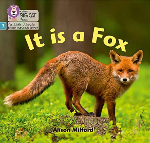 It is a Fox: Phase 3 (Big Cat Phonics for Little Wandle Letters and Sounds Revised) - Alison Milford [KSIĄŻKA]