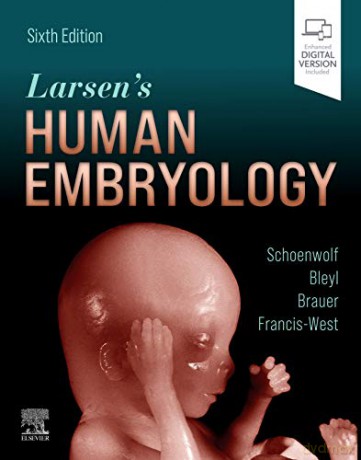 Larsen's Human Embryology - Gary C. Schoenwolf PhD [KSIĄŻKA]