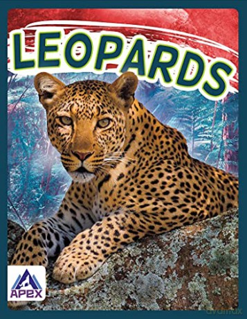 Leopards (Wild Cats) - Sophie Geister-Jones [KSIĄŻKA]
