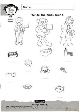 Literacy Edition Storyworlds Stage 6, Animal World, Workbook [KSIĄŻKA]