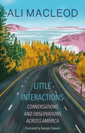 Little Interactions: Conversations and Observations across America - Ali Macleod [KSIĄŻKA]