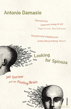 Looking for Spinoza - Antonio Damasio [KSIĄŻKA]