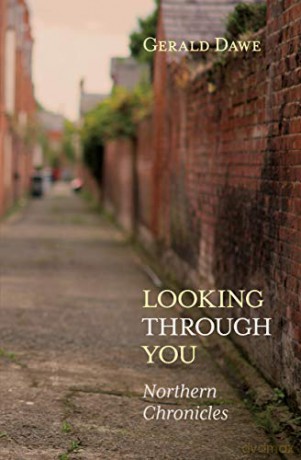 Looking Through You: Northern Chronicles - Gerald Dawe [KSIĄŻKA]