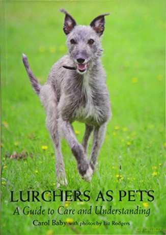 Lurchers as Pets: A Guide to Care and Understanding - Carol Baby [KSIĄŻKA]