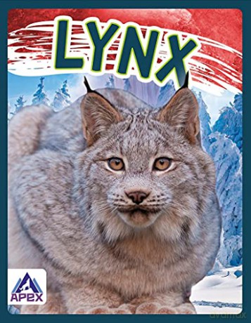 Lynx (Wild Cats) - Sophie Geister-Jones [KSIĄŻKA]
