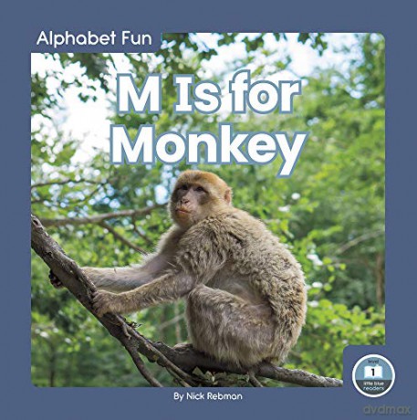 M Is for Monkey (Alphabet Fun) - Nick Rebman [KSIĄŻKA]