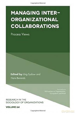Managing Inter-Organizational Collaborations: Process Views (Research in the Sociology of Organizations): 64 - Jörg Sydow [KSIĄŻKA]