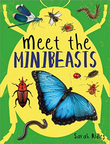 Meet the Minibeasts - Sarah Ridley [KSIĄŻKA]