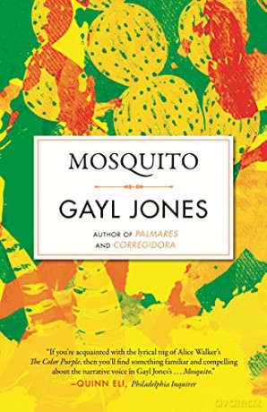 Mosquito (Celebrating Black Women Writers) - Gayl Jones [KSIĄŻKA]