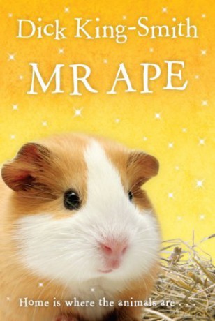 Mr Ape [KSIĄŻKA]