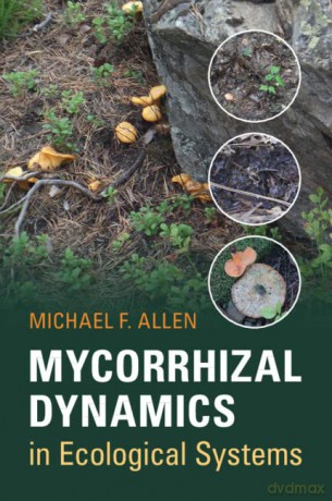 Mycorrhizal Dynamics in Ecological Systems - Michael F. Allen [KSIĄŻKA]