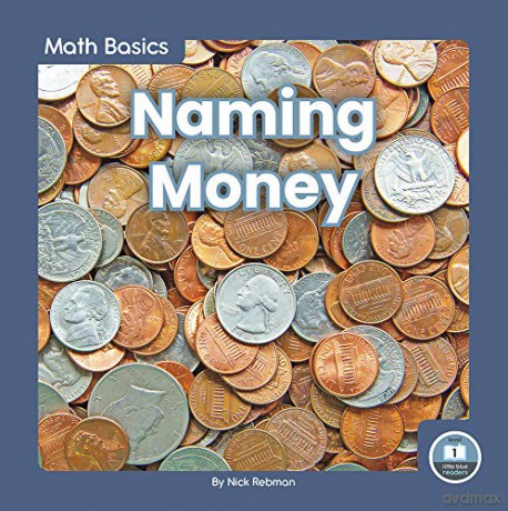 Naming Money (9781646191635) - Nick Rebman [KSIĄŻKA]