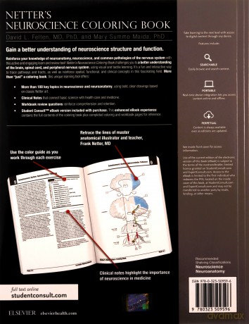 Netter's Neuroscience Coloring Book, 1e - David L. Felten MD PhD [KSIĄŻKA]