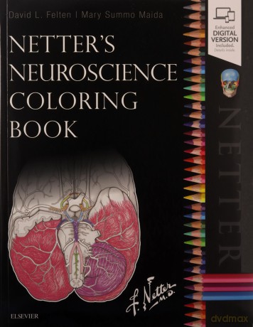 Netter's Neuroscience Coloring Book, 1e - David L. Felten MD PhD [KSIĄŻKA]