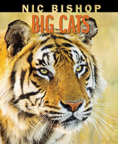 Nic Bishop Big Cats - Nic Bishop [KSIĄŻKA]