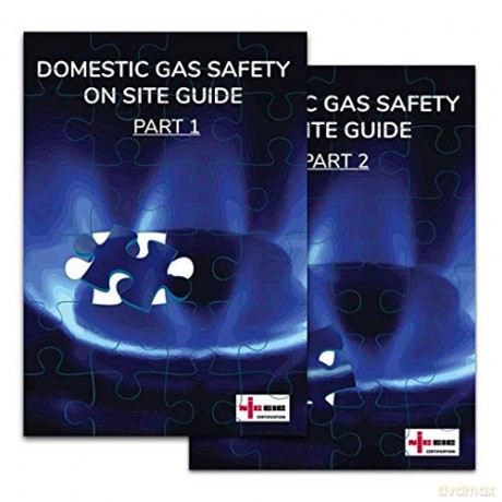 Niceic Domestic Gas Safety On Site Guide (2 Vol Set) - Niceic [KSIĄŻKA]