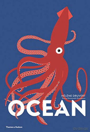 Ocean - Hélene Druvert [KSIĄŻKA]